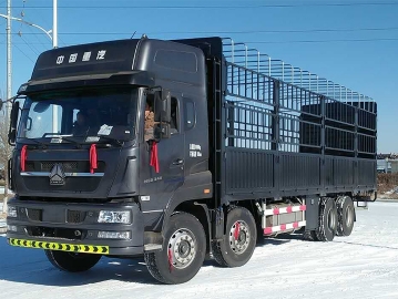 Heavy truck warehouse grid carriage